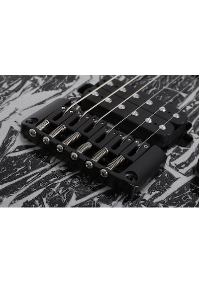 Schecter C-1 Silver Mountain Elektro Gitar (Silver Mountain)