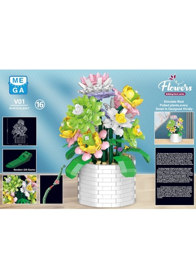 Blok Çiçek 1043 Parça Sukulent