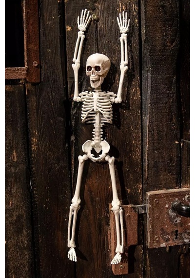 Cadılar Bayramı Halloween İskelet Şekil Alabilen 40 Cm Tüm Yaşlar