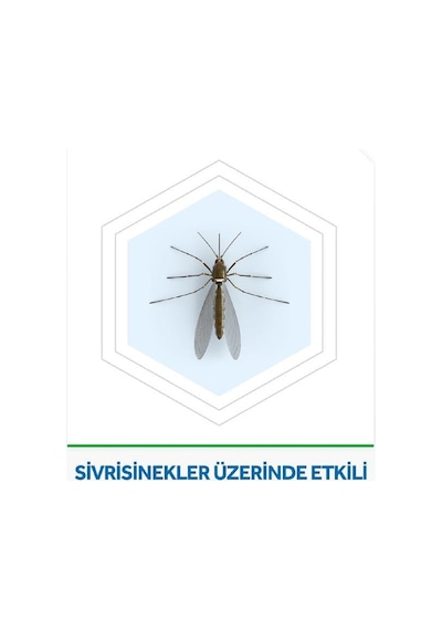 Raid Elektro Likit Yedek Şişe 30 Gece 2'li