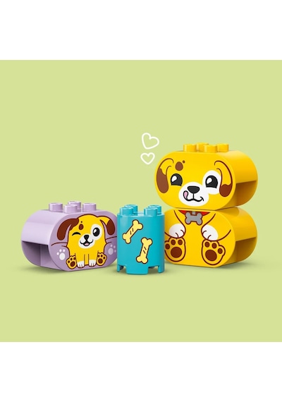 LEGO® DUPLO® İlk Şekil Ayırıcı: Köpek Evi 10441 - 1,5 Yaş ve Üzeri Çocuklar için Eğitici Oyuncak Yapım Seti (17 Parça)