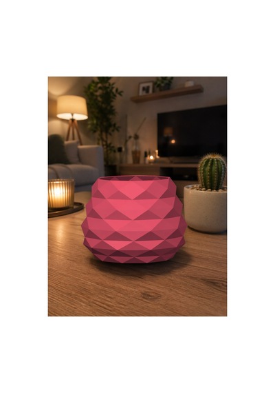 Geometrik Mini Kaktüs Saksısı Dekoratif Masa Üstü Saksı 3d Baskı