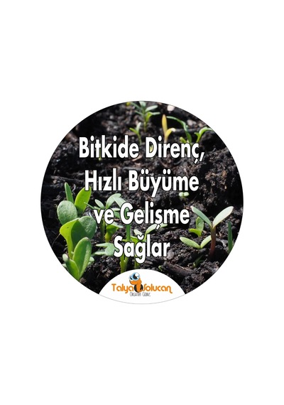 Çiçek Coşturan Kullanıma Hazır Yaprak Gübre 750 ML