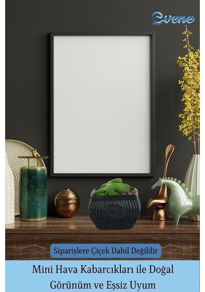 Mini Çiçek Saksı Küçük Sukulent Kaktüs Saksısı 3'lü Set Mini Çizgili Çiçekli Model - Siyah