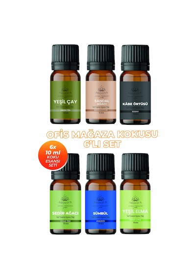Ofis Mağaza Esansiyel Uçucu Koku Yağı Buhurdanlık Yağı Difüzör Esansı 6'lı Set 6x10ml Karışık