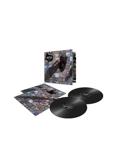 Pink Floyd The Best Of Pink Floyd: A Foot In The Door - Plak