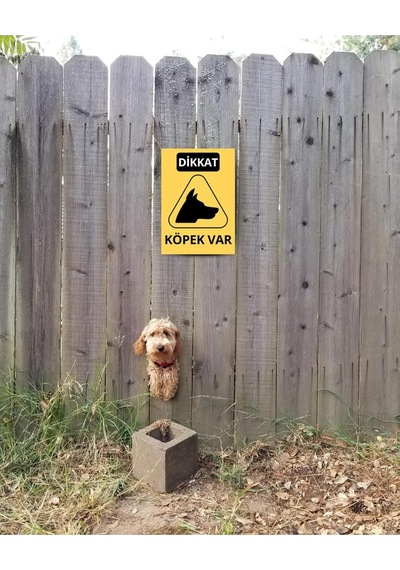 Glassify 3 Lü Dekoratif Köpek Var Uyarı Levhası Seti 25 X 35