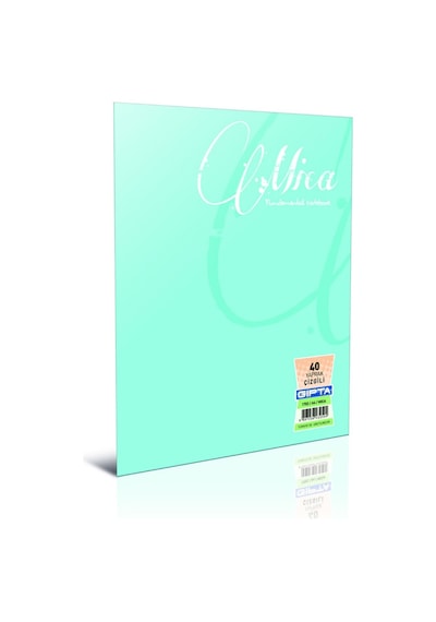 Gıpta Mica Pp Kapak A4 60 Yaprak Çizgisiz Defter