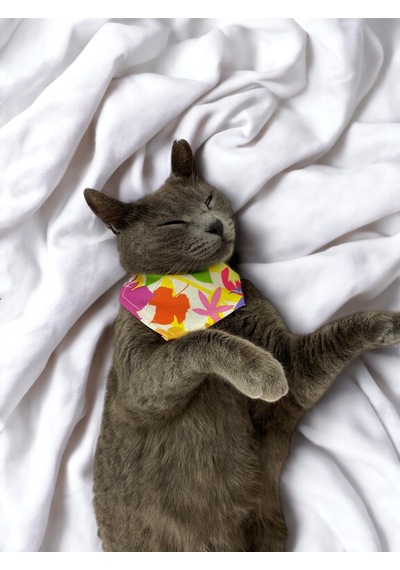 Kemique Summer Bandana Fular Kedi Kıyafeti