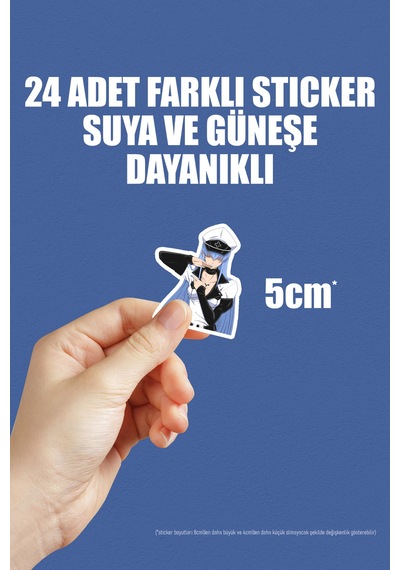 Akame Ga Kill Anime Telefon Laptop Bullet Journal Sticker Paketi 24 Adet Çok Renkli