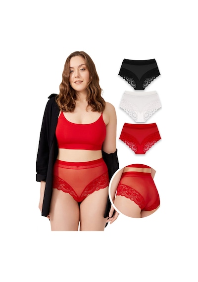 Cottonhill Dantel Detaylı Transparan Büyük Beden Bikini Külot 3'lü Paket Çok Renkli 1 Çok Renkli