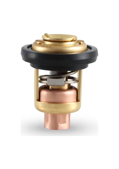 South Marine 6e5-12411 15-220hp 50 Derece Dıştan Takmalı Motor Termostatı