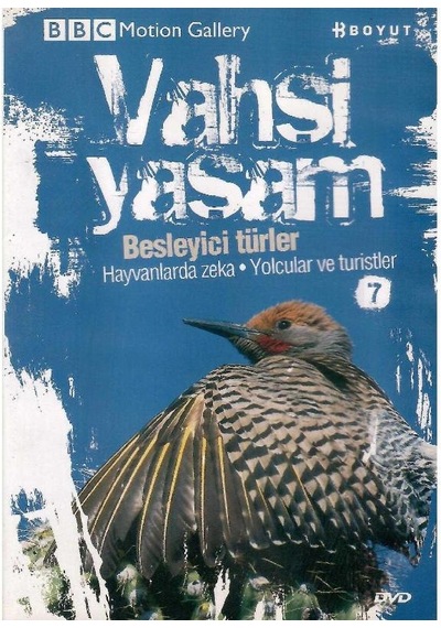 Bbc Motion Gallery - Vahşi Yaşam Besleyici Türler Hayvanlarda Zeka Yolcular Ve Turistler - Dvd