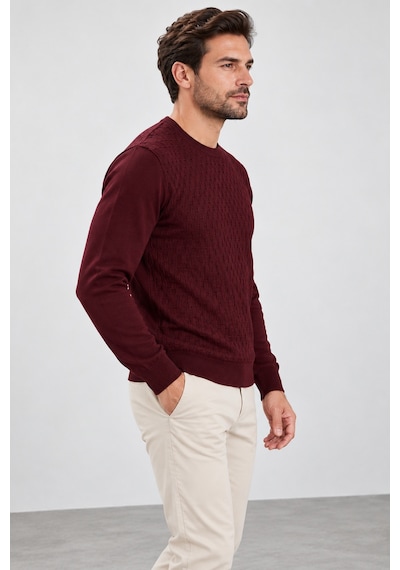 Sabri Özel Erkek Kabartma Dokulu Bisiklet Yaka Triko Kazak S25 W22ct057-bordo