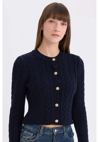 Defacto Regular Fit Bisiklet Yaka Selanik Örgü Desenli Triko Hırka C9044AX24WN Lacivert