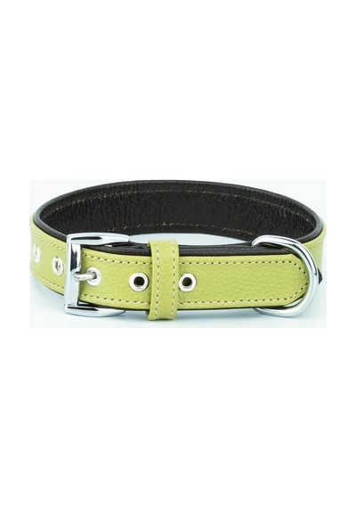 Canini Collar Hakiki Flotter Deri Köpek Tasması, Çift Katlı Deri, Ultra Dayanıklı Tasma Yeşil-kahverengi, Xl Çok Renkli Canini Collar Hakiki Flotter Deri Köpek Tasması, Çift Katlı Deri, Ultra Dayanıklı Tasma Yeşil-kahverengi, Xl Çok Renkli