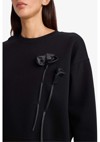 Defacto Boxy Fit Bisiklet Yaka Aplike Kalın Sweatshirt G7007ax25wnbk81 Siyah-bk81