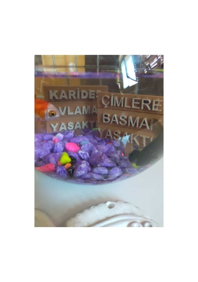 Akvaryum Tabelası - 2 Li - 8,5 7 Cm