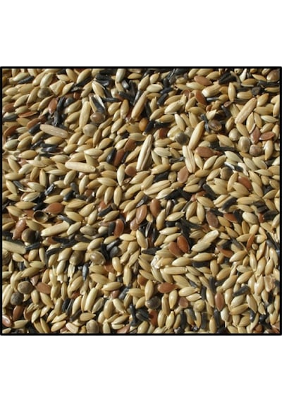 Karışık Kanarya Yemi Kaliteli Karışım Açık Lüx 1 Kg
