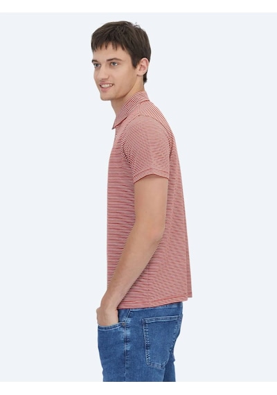 Kip Kiremit Polo Yaka %100 Pamuk T-shirt KIREMIT