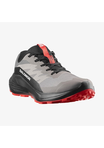 Salomon Alphaglıde Erkek Ayakkabısı L48000800 Çok Renkli