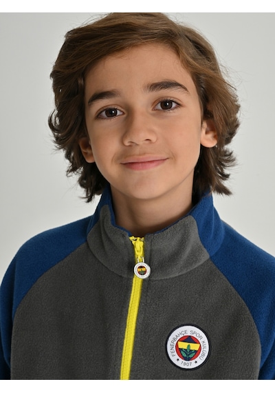 Fenerium Çocuk Trıbun Reglan Kol Detaylı Sweat Grı