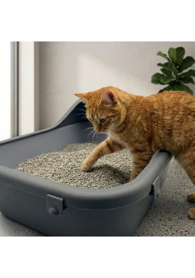 Ördekli Tahılsız Yetişkin Köpek Sı 1,5kg