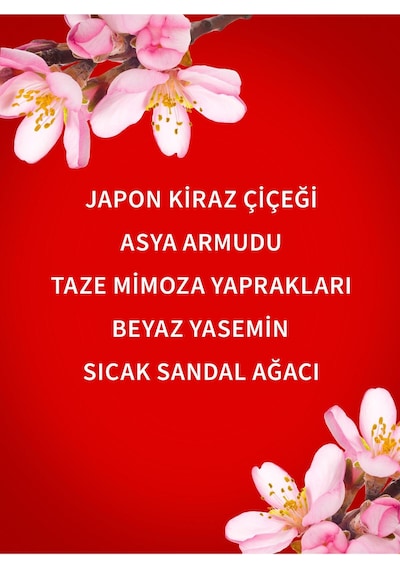 Bath & Body Works Japanese Cherry Blossom Işıltılı Vücut Spreyi 146 Ml