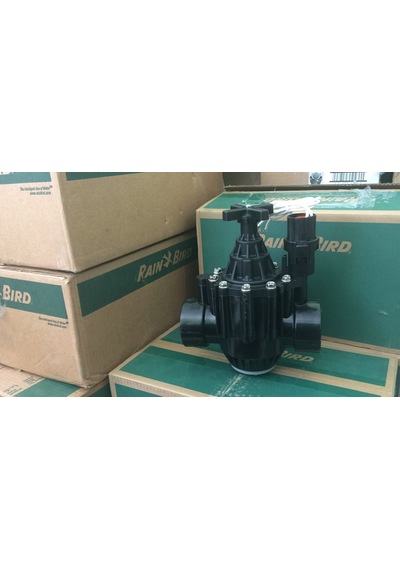 Rainbird 200 Pga Selenoid Vana 2" Bsp 63Mm 24 Volt