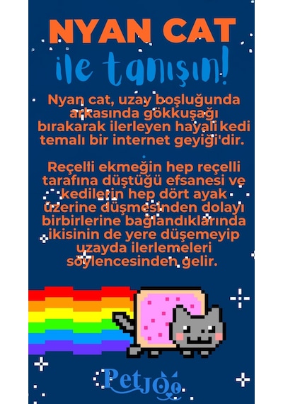 Petjoo 2.Nyan Cat Mavi-Turuncu Qr'lı Kedi Künyesi