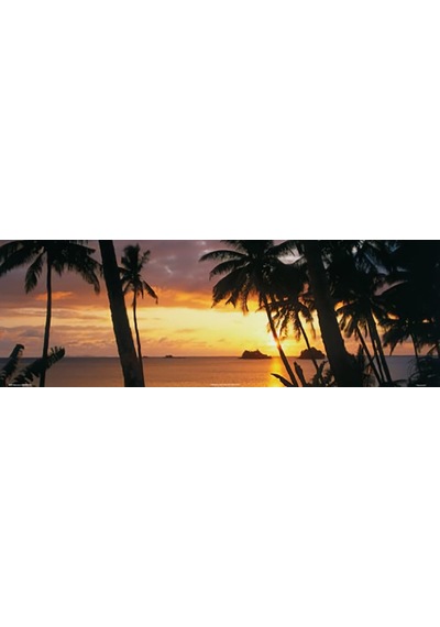 Buyartforless Tropikal Gün Batımı 36x12 Sanatsal Baskı Poster Palmiye Ağaçları Tropikal Ada Kaçamağ 7/8 Yaş Buyartforless Tropikal Gün Batımı 36x12 Sanatsal Baskı Poster Palmiye Ağaçları Tropikal Ada Kaçamağ 7/8 Yaş