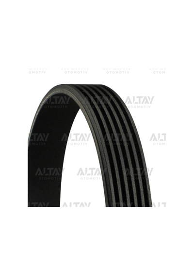 V Kayısı 6pk1270 6pk2170