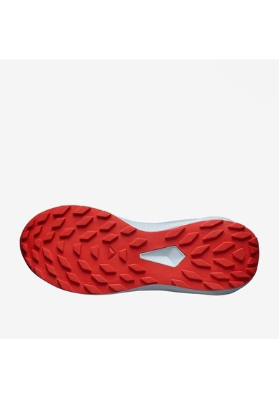 Salomon Alphaglide Erkek Koşu Ayakkabısı Çok Renkli