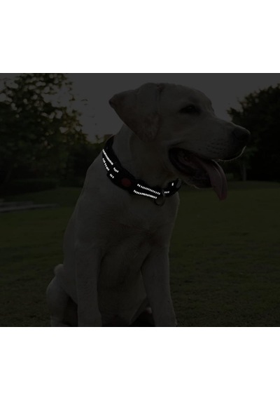 Raikou Ayarlanabilir Köpek Boyun Tasması Siyah