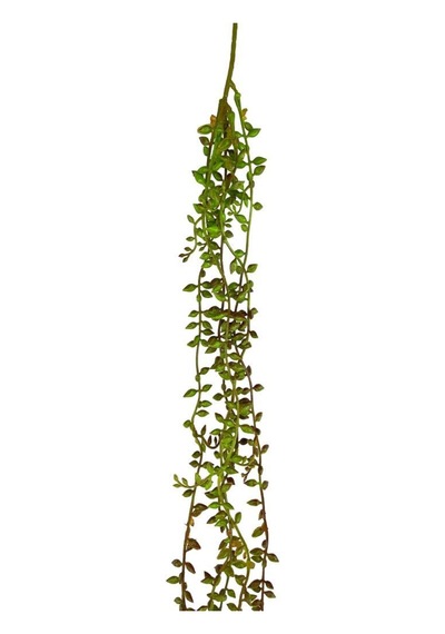 Yapay Çiçek Sarkan Kahverengi Detaylı String Okaliptus Skulent 70cm 5Dal