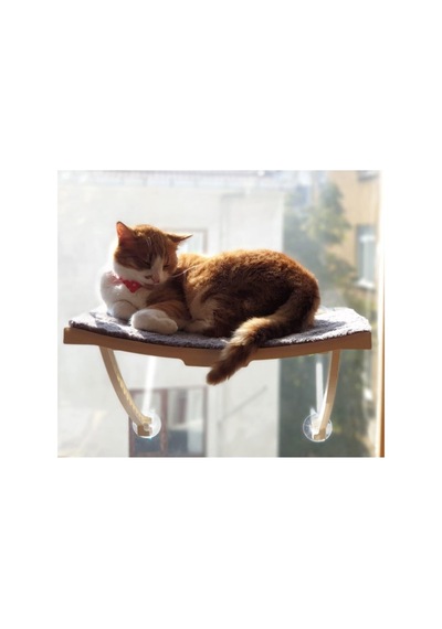 Yeni Model Cam Ve Duvar Için Kedi Yatağı Vantuzlu Beyaz L