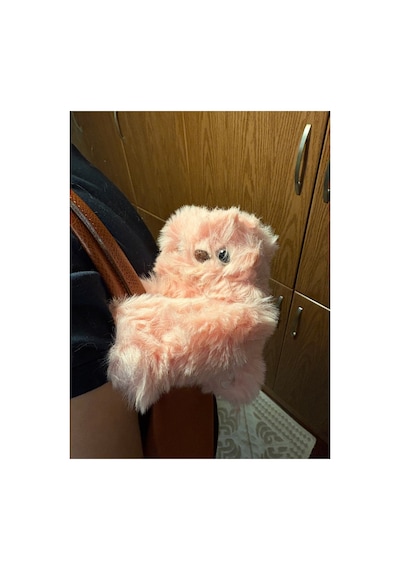 Mırumı Akıllı İnteraktif Oyuncak Robot Sese Ve Harekete Duyarlı 1 Adet Fiyatıdır Pembe
