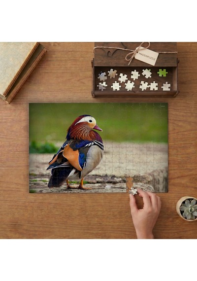 Güzel Mandarin Ördeği Tasarımı 240 Parça Ahşap Puzzle Ahşap Kutuda Mpy50127