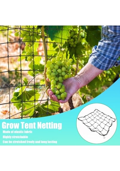 Coffee Life Plus Scrog File, Bitki Yetiştirme Ağı, 150 X 150 Cm Elastik Kafes Ağı, 6 Kancalı, Elastik Ağ Kafesi