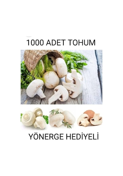 1000 Adet Beyaz Şapkalı Mantar Tohumu Ve Eğitim Kılavuzu Ve Suprist Hediye