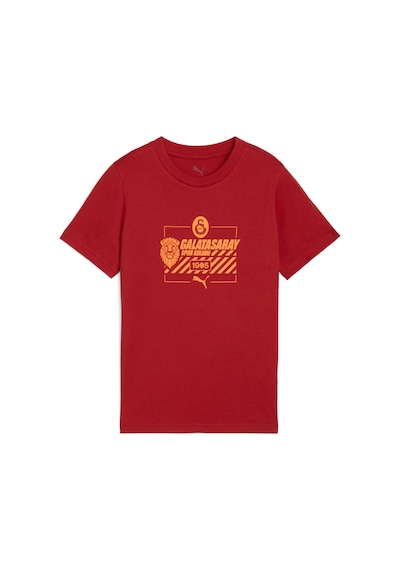 Puma Galatasaray Ftblculture Genç Tişört 782920 01 KIrmızı