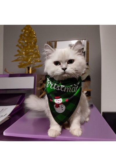 Kedi Ve Köpek İçin Ayarlanabilir, Üçgen Ve Yeşil Yılbaşı Bandanası