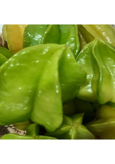 1 Kg Yıldız Meyvesi