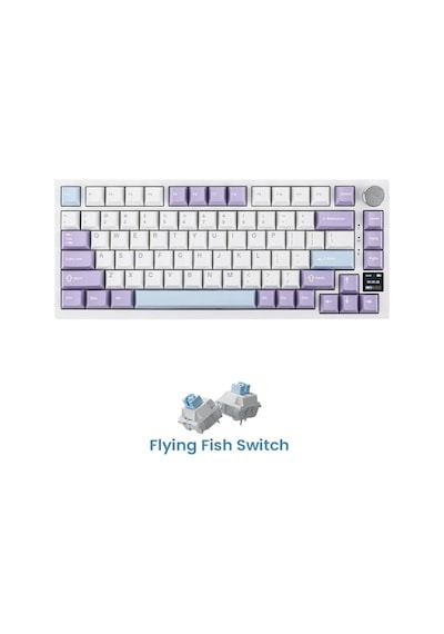 Ak820 Pro Mekanik Oyun Klavyesi,3 Modlu Tft Renkli Ekran Ve Cnc Düğmeli 81 Tuş,rgb Aydınlatma