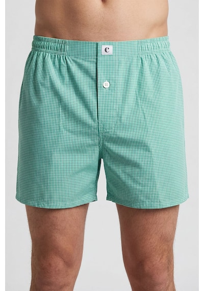 Cacharel Poplin Boxer Erkek 1113/kareli Yeşil