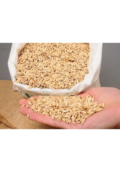 Kastamonu Siyez Buğdayı 1 KG