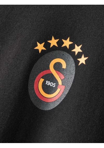 Gsstore Galatasaray Erkek T-shirt E252101 Siyah