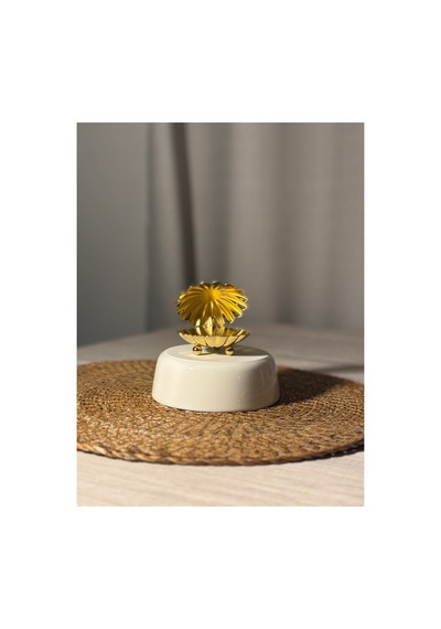 Gold Rengi Metal İstiridye 6'lı Kahve Yanı Sunumluk Altın - 806699719 Altın