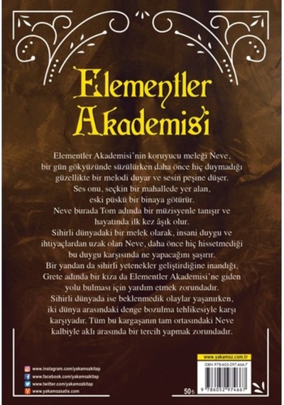 Elementler Akademisi 2 - Gölgelerin Melodisi - Daphne Unruh - Yakamoz Yayınları