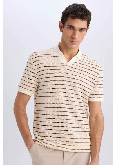 DeFacto Regular Fit Polo Yaka Çizgili Triko Kısa Kollu Tişört C4150AX25SMBN312